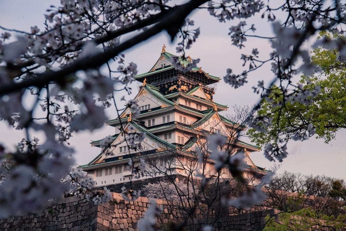 Kiraz çiçekleri arasında Osaka Kalesi